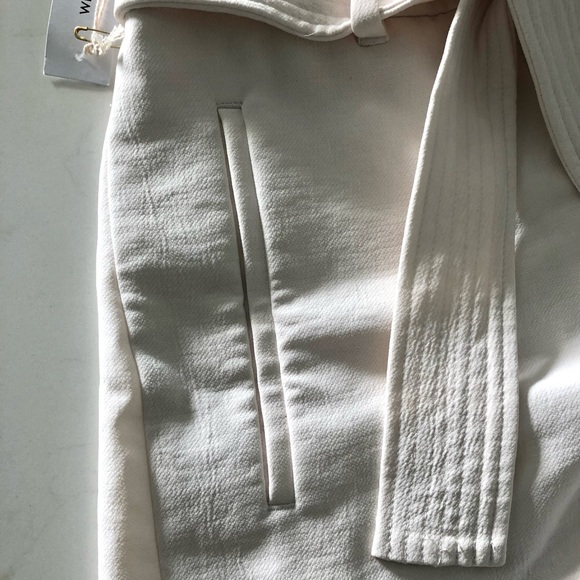 NEW |  Aritzia Tie Front Pants Short - Picture 7 of 9